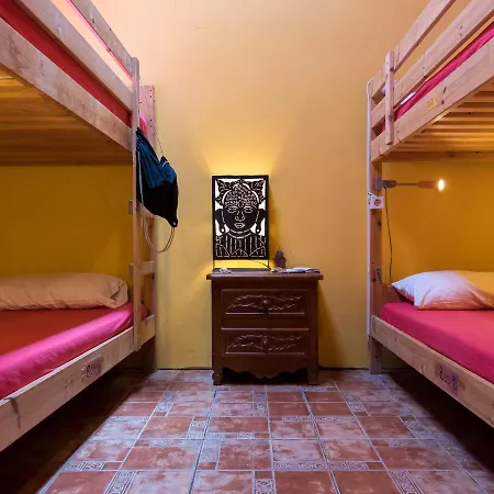 אכסניה Amigos Nest La Mareta