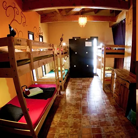 אכסניה Amigos Nest