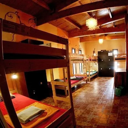 Amigos Nest אכסניה