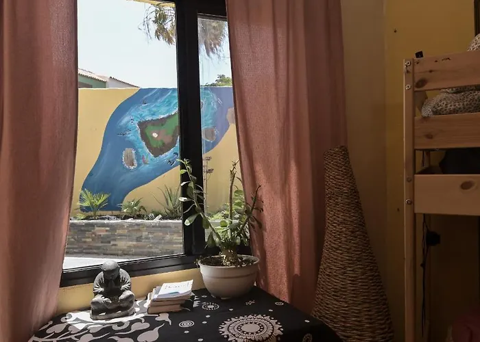 Amigos Nest Auberge de jeunesse La Mareta
