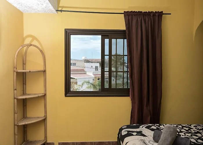 Amigos Nest