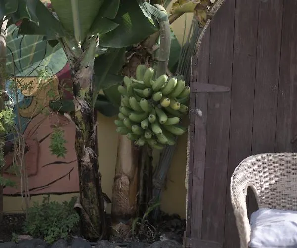 Auberge de jeunesse Amigos Nest La Mareta