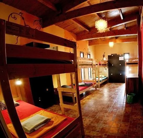Amigos Nest Auberge de jeunesse