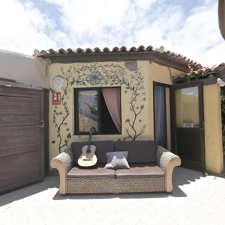 Amigos Nest