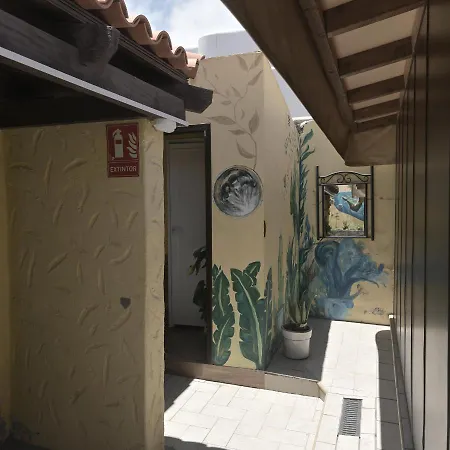 Amigos Nest *