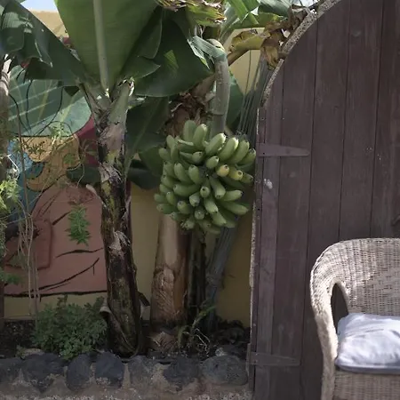 旅馆 Amigos Nest La Mareta