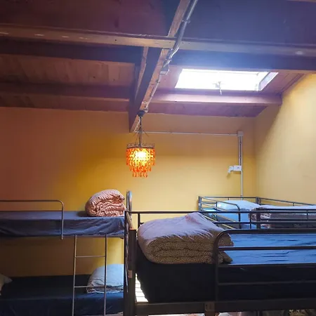 Amigos Nest *