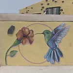 Amigos Nest La Mareta