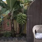 Hostel Amigos Nest La Mareta