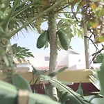 Amigos Nest
