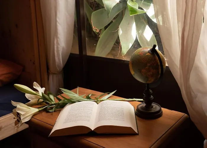 Hostel Amigos Nest *