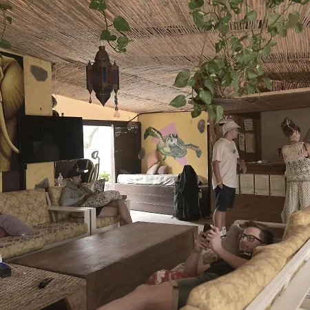 Hostel Amigos Nest La Mareta